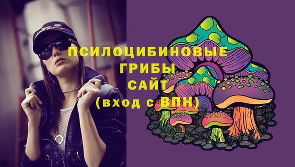 молекула духа Ладушкин