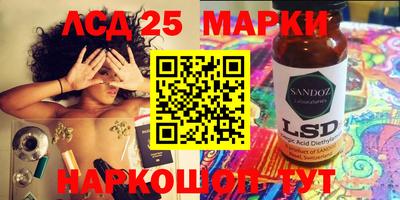 шишки Будённовск