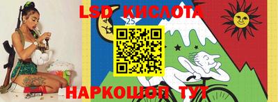 шишки Будённовск