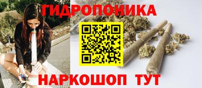 шишки Будённовск