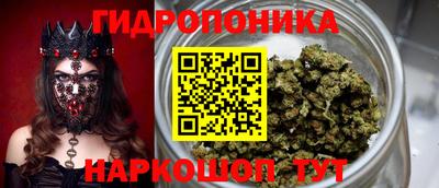 шишки Будённовск