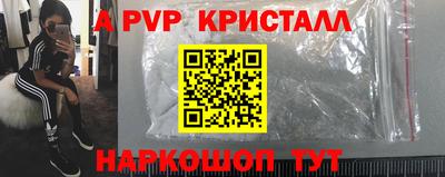 шишки Будённовск