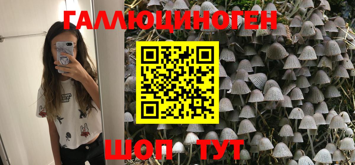 Галлюциногенные грибы Magic Shrooms Краснотурьинск